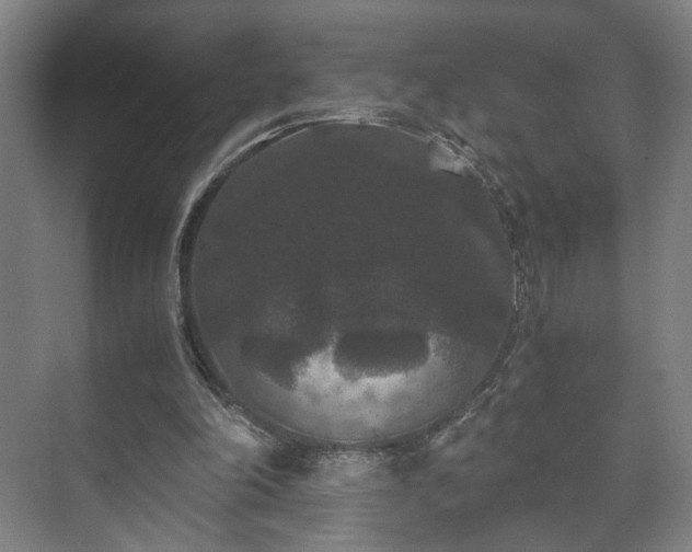 X0000073410198200608041007