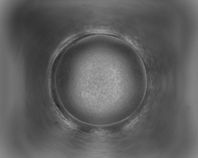 X0000073410199200608041007