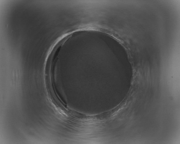 X0000073410200200608041007