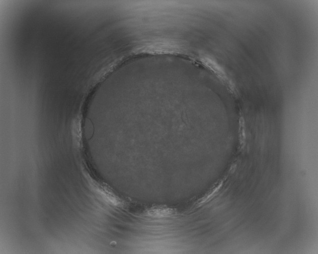 X0000073410202200608041007