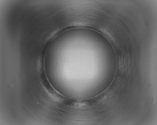 X0000073410208200608041007