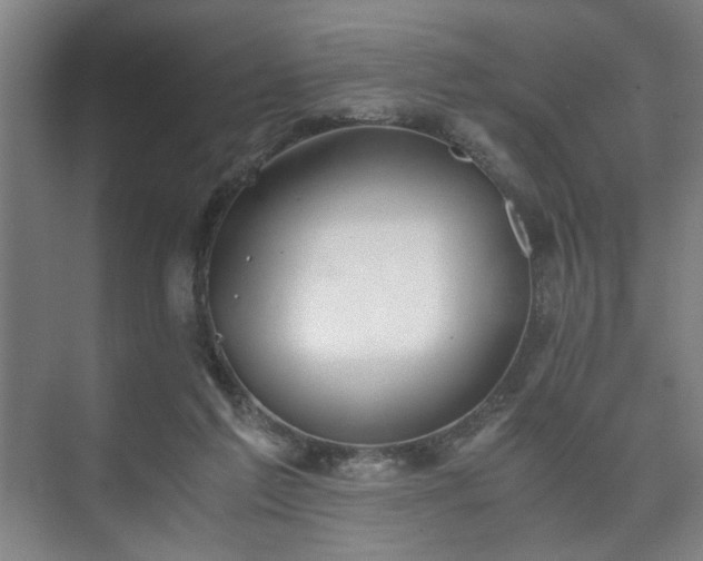 X0000073410213200608041007