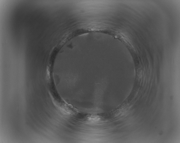 X0000073410214200608041007