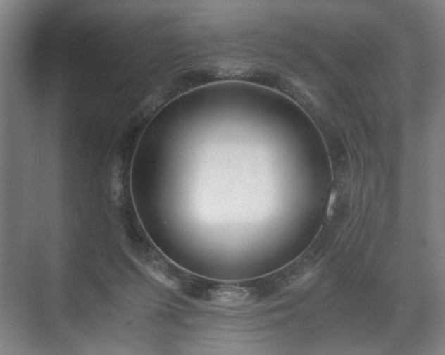 X0000073410215200608041007