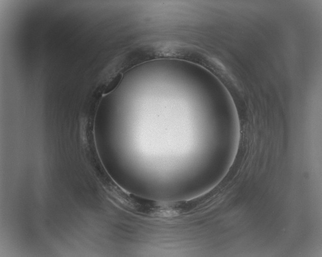 X0000073410217200608041007