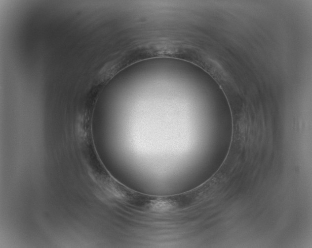 X0000073410218200608041007