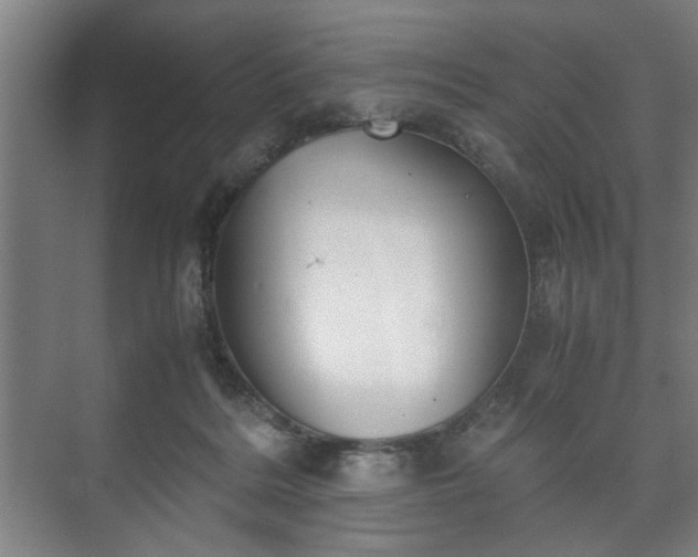 X0000073410220200608041007