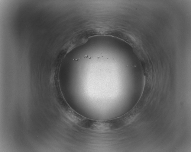 X0000073410221200608041007