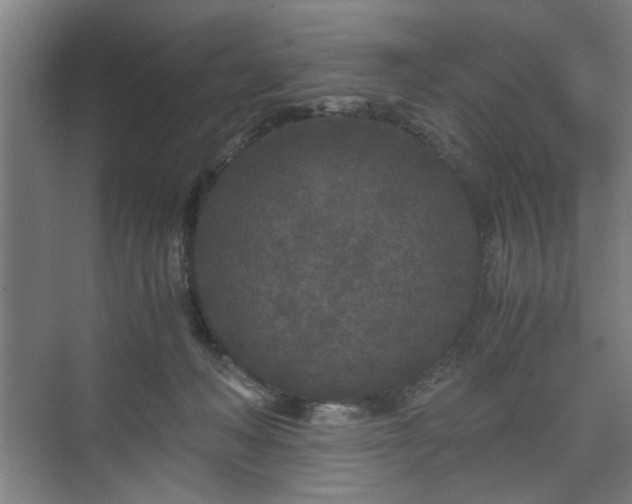 X0000073410222200608041007