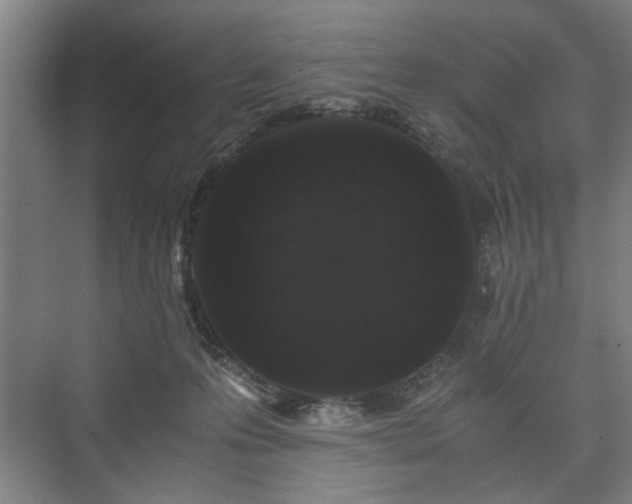 X0000073410223200608041007