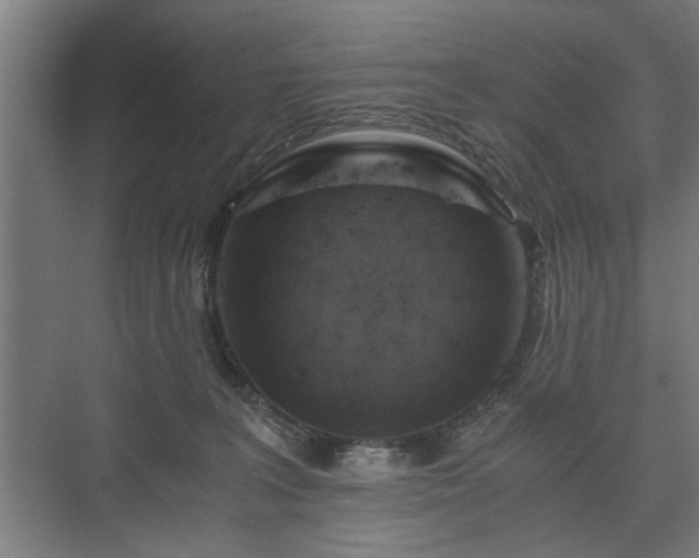 X0000073410227200608041006