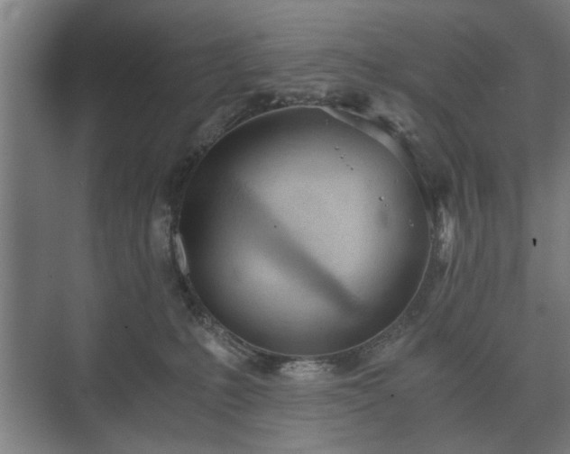 X0000073410231200608041006