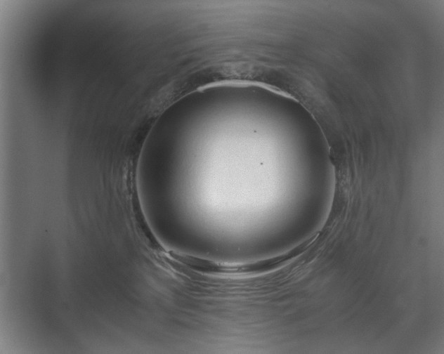 X0000073410233200608041006