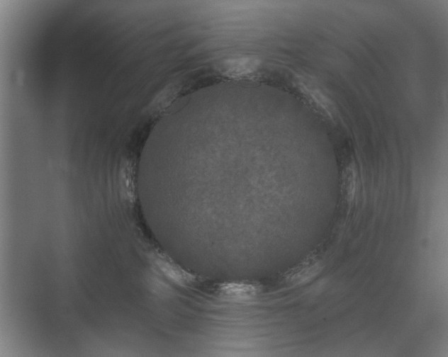 X0000073410234200608041006