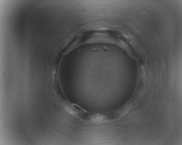 X0000073410235200608041006