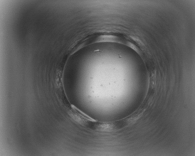 X0000073410237200608041006