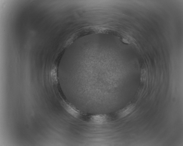 X0000073410238200608041006