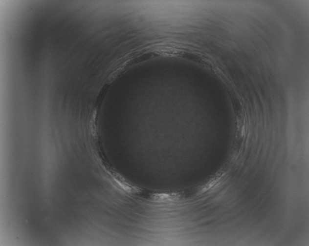 X0000073410239200608041006