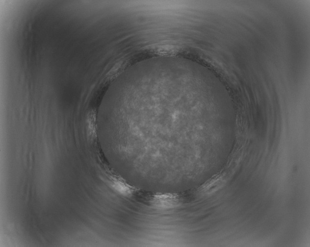 X0000073410240200608041006