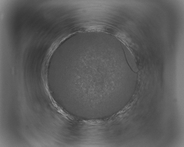 X0000073410241200608041005