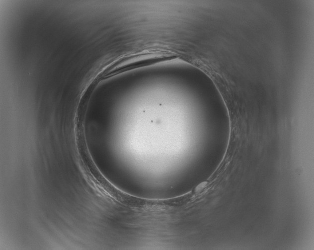 X0000073410242200608041005