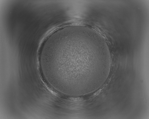 X0000073410245200608041006