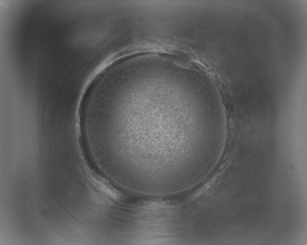 X0000073410246200608041006