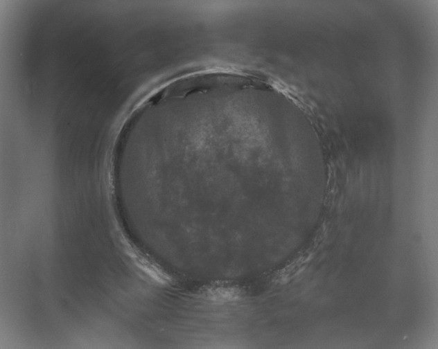 X0000073410247200608041006