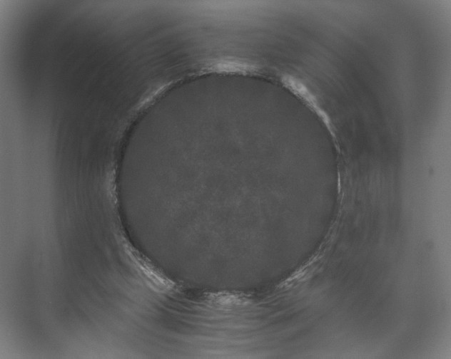 X0000073410249200608041006