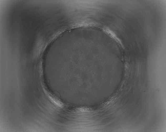 X0000073410250200608041006