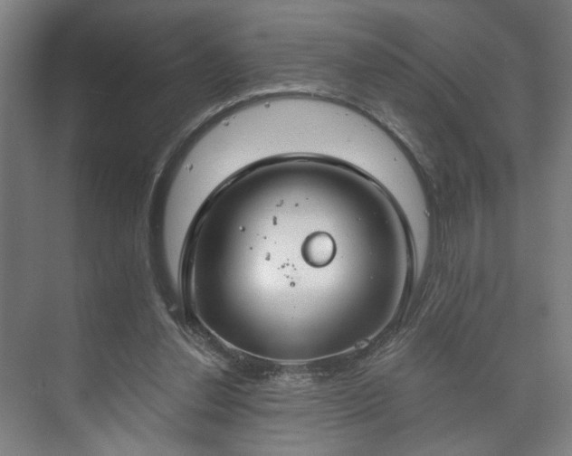 X0000073410252200608041006