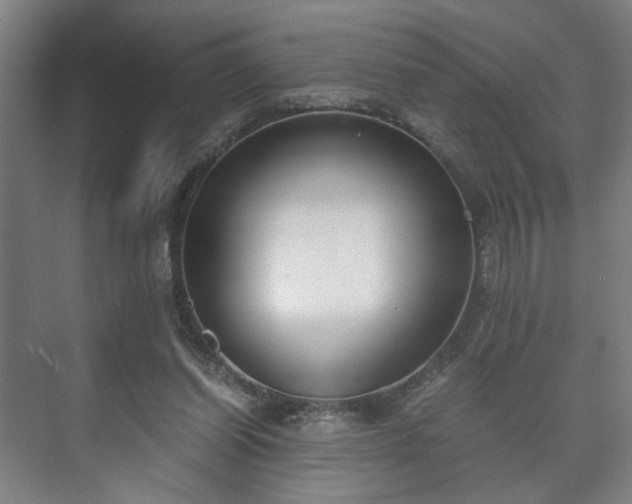 X0000073410254200608041006