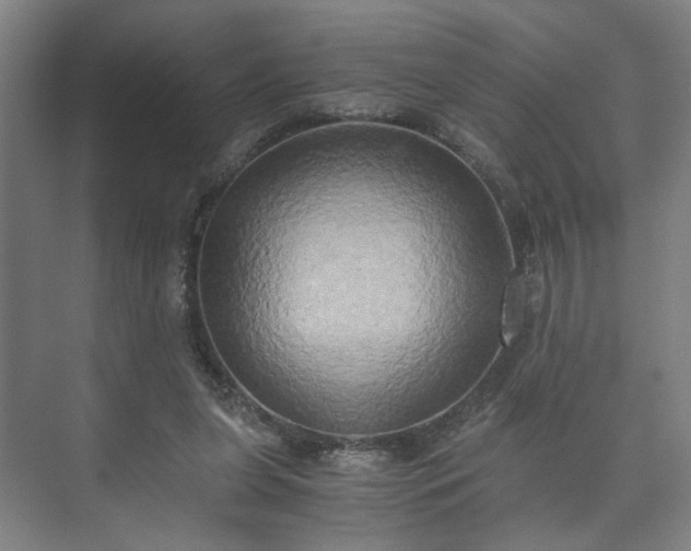 X0000073410255200608041006