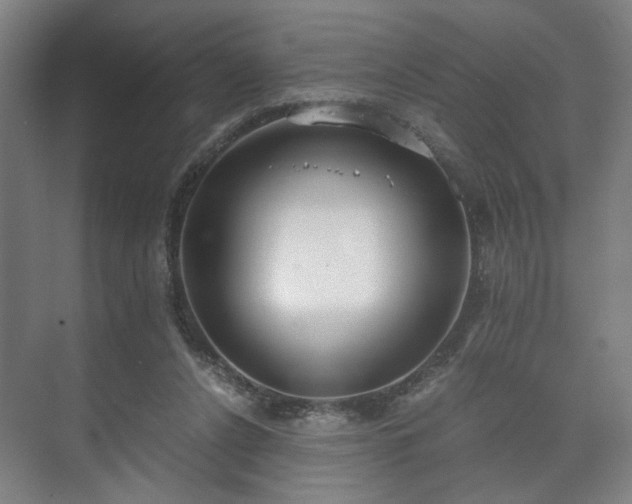 X0000073410256200608041006