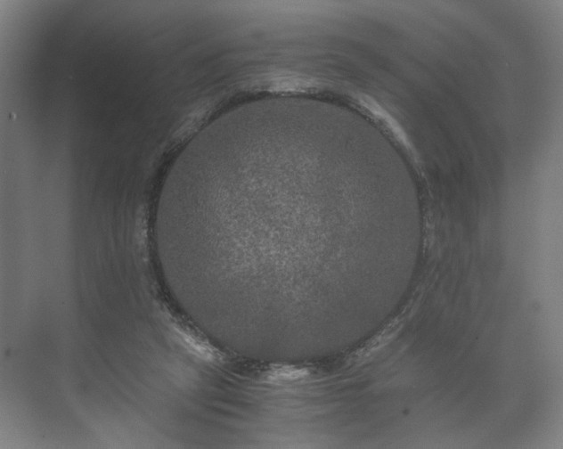 X0000073410257200608041006