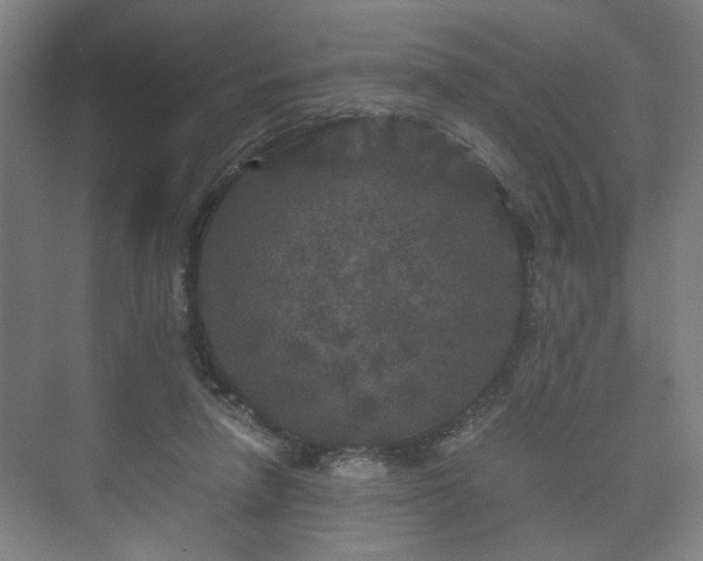 X0000073410258200608041006