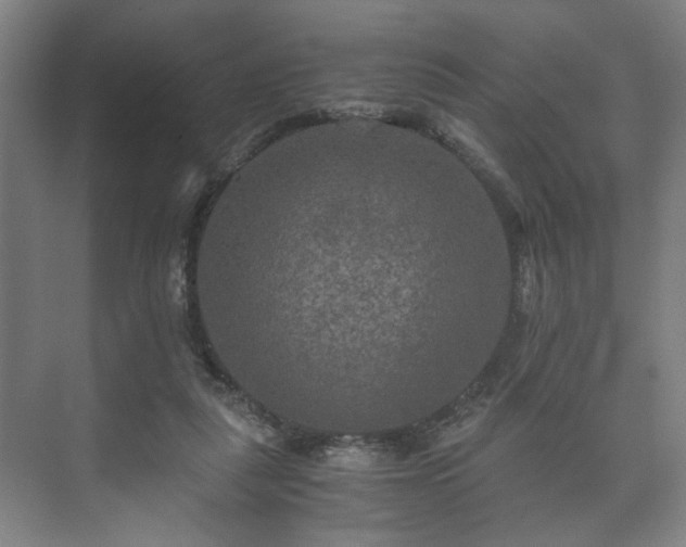 X0000073410259200608041006