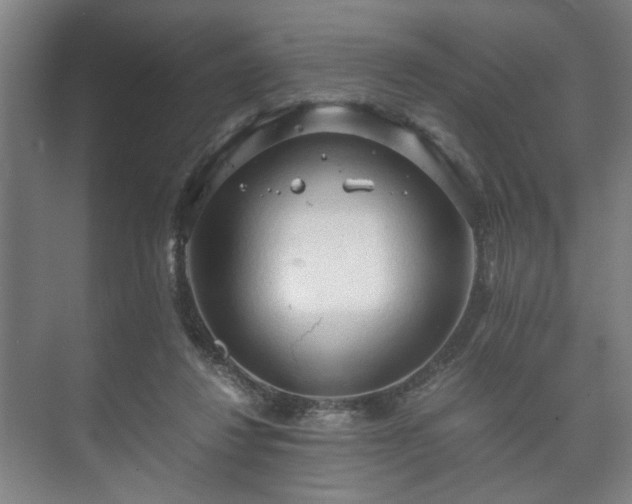 X0000073410260200608041006