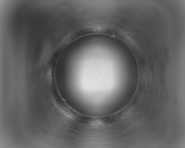 X0000073410262200608041006