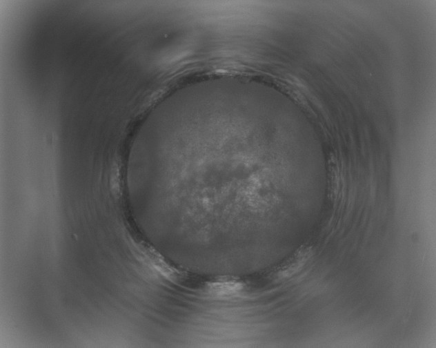 X0000073410266200608041006