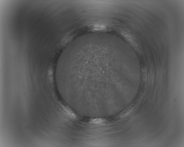 X0000073410269200608041006