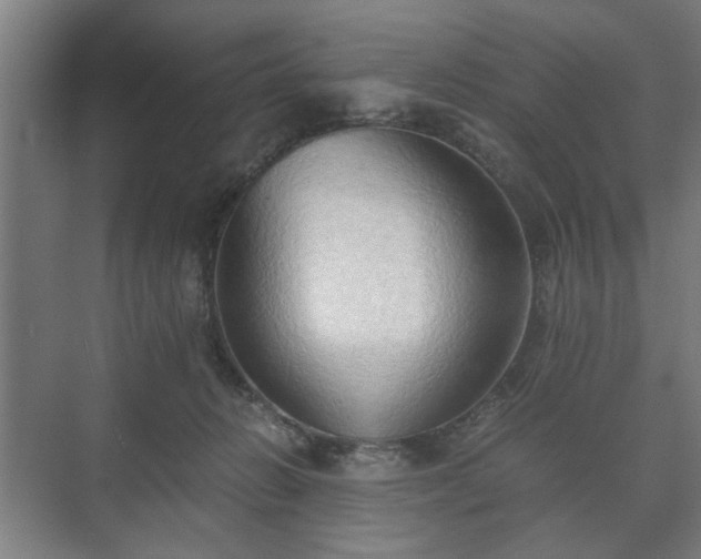 X0000073410270200608041006