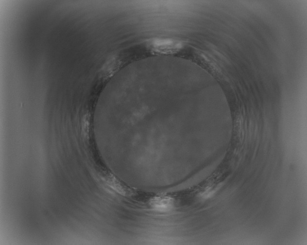 X0000073410271200608041006