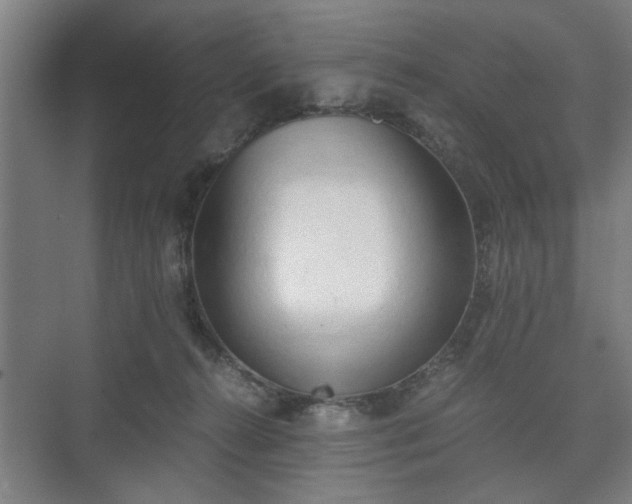 X0000073410272200608041006