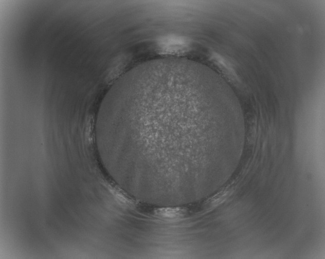 X0000073410273200608041006