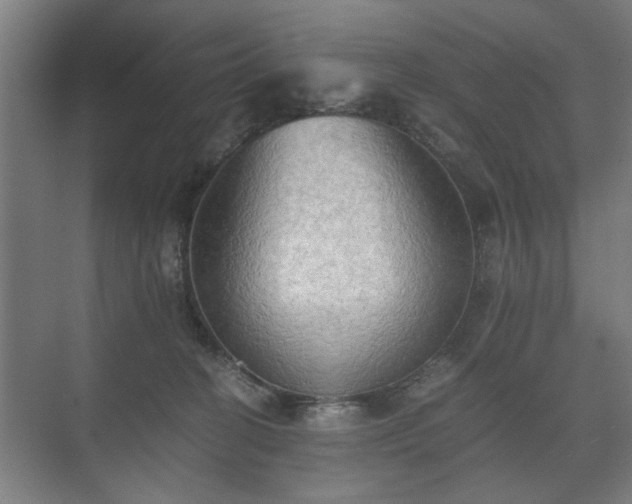 X0000073410274200608041006