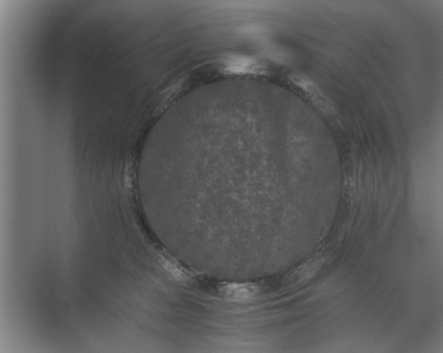 X0000073410277200608041006