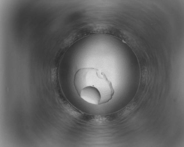 X0000073410278200608041006