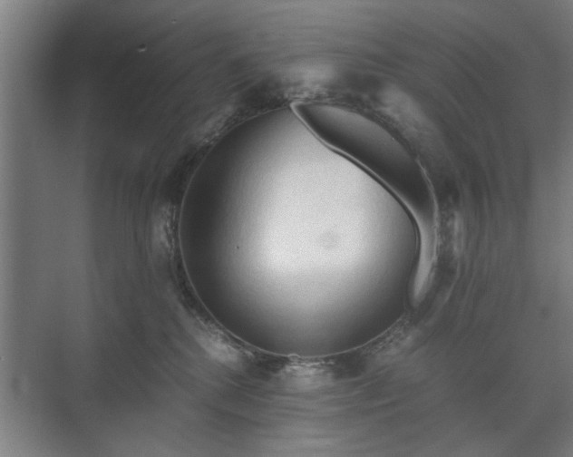 X0000073410280200608041006