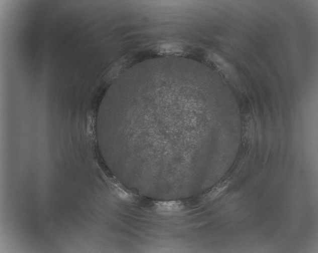 X0000073410281200608041006